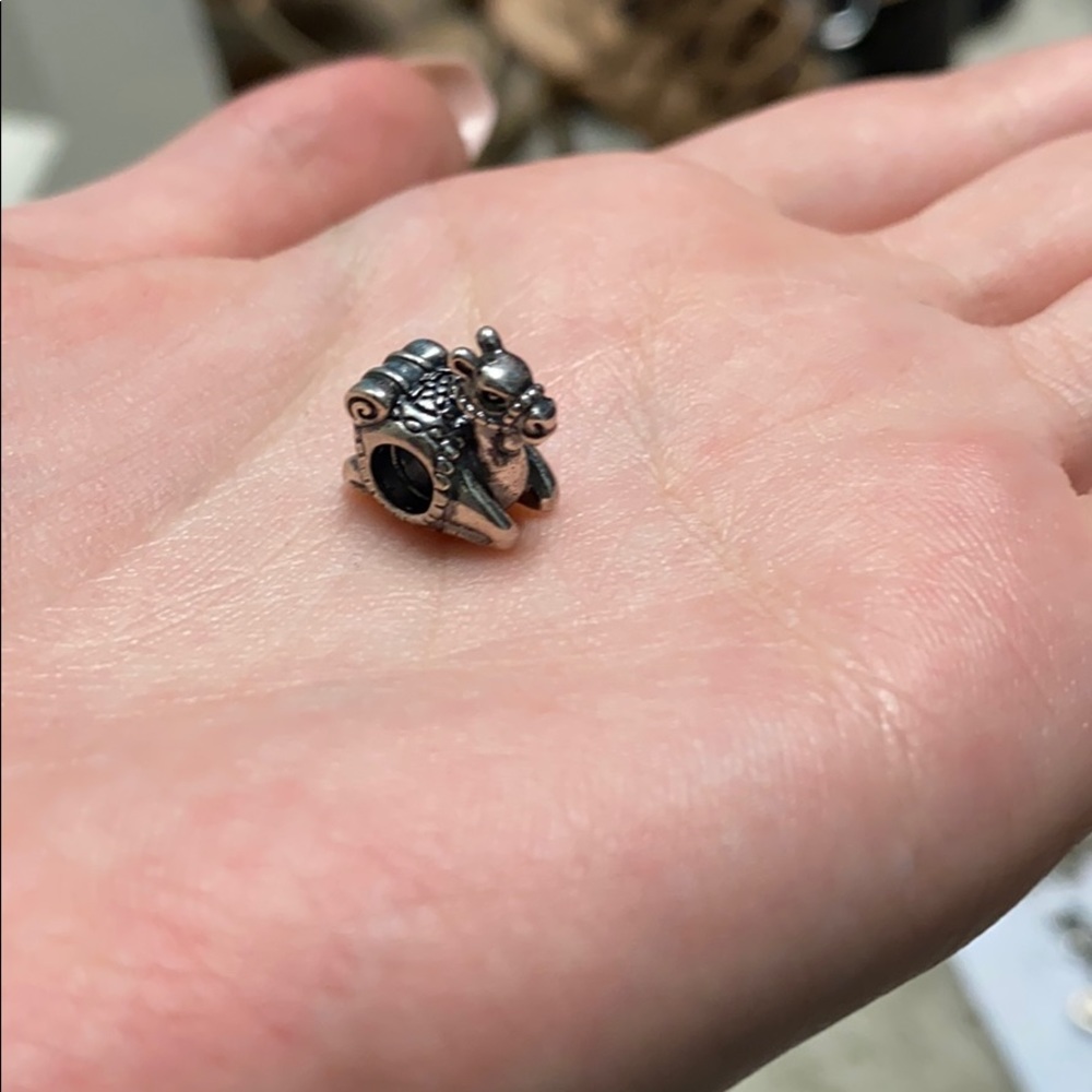 Pandora Charm